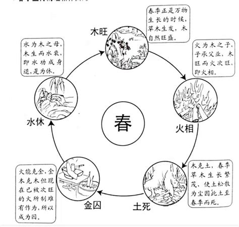 旺相休囚死|五行旺相休囚死